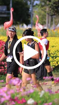 BIB:  <button type="button" onclick="openModal(27588469)" class="btn btn-primary btn-sm float-right" data-toggle="modal" data-target=".modal-high-quality">
                <i class="fa fa-download"></i> Download
                </button>